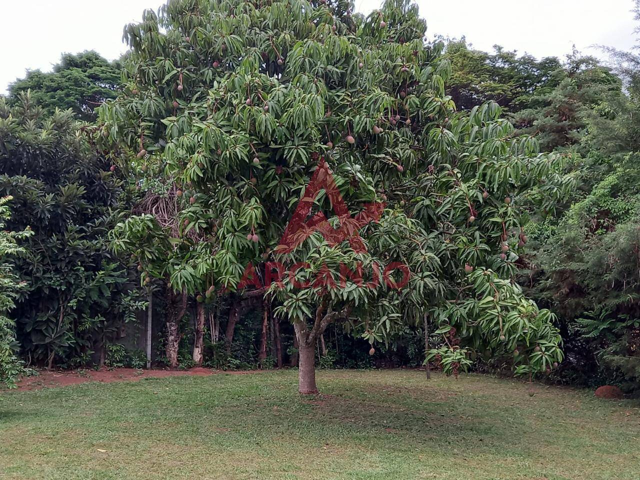 Fazenda à venda com 4 quartos, 1000m² - Foto 46