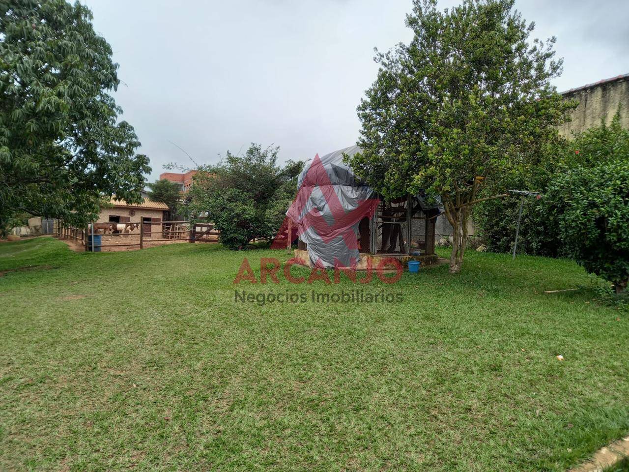 Fazenda à venda com 4 quartos, 1000m² - Foto 49