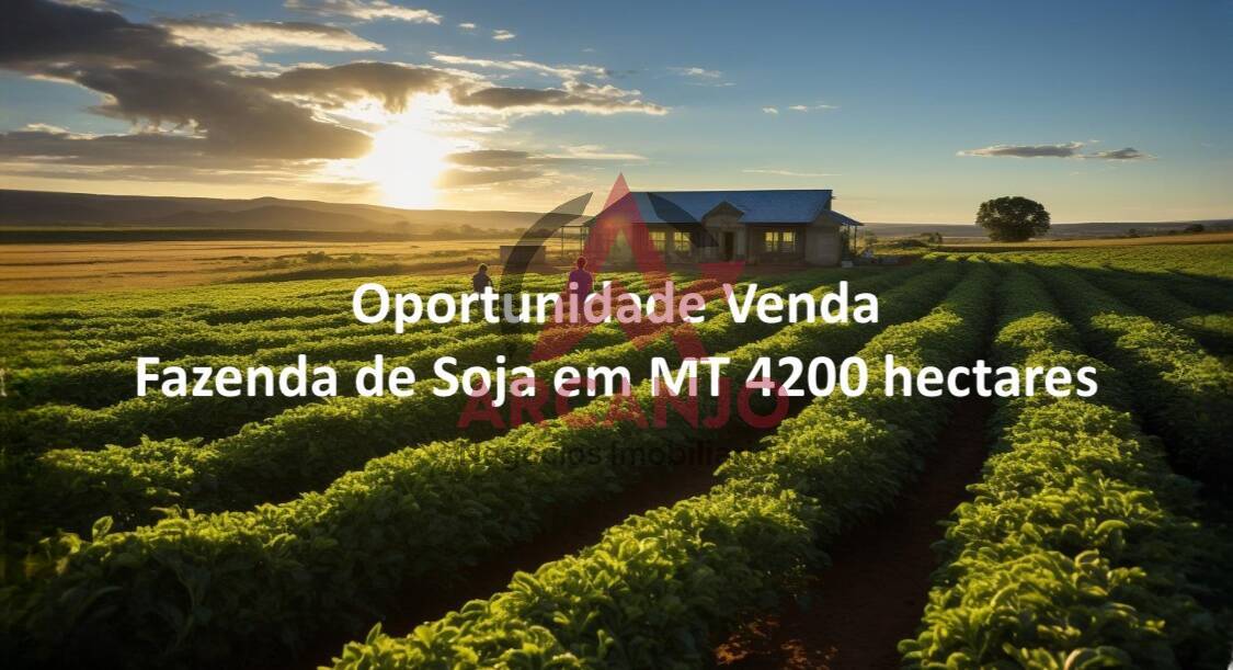 Fazenda à venda com 5 quartos, 4236m² - Foto 3