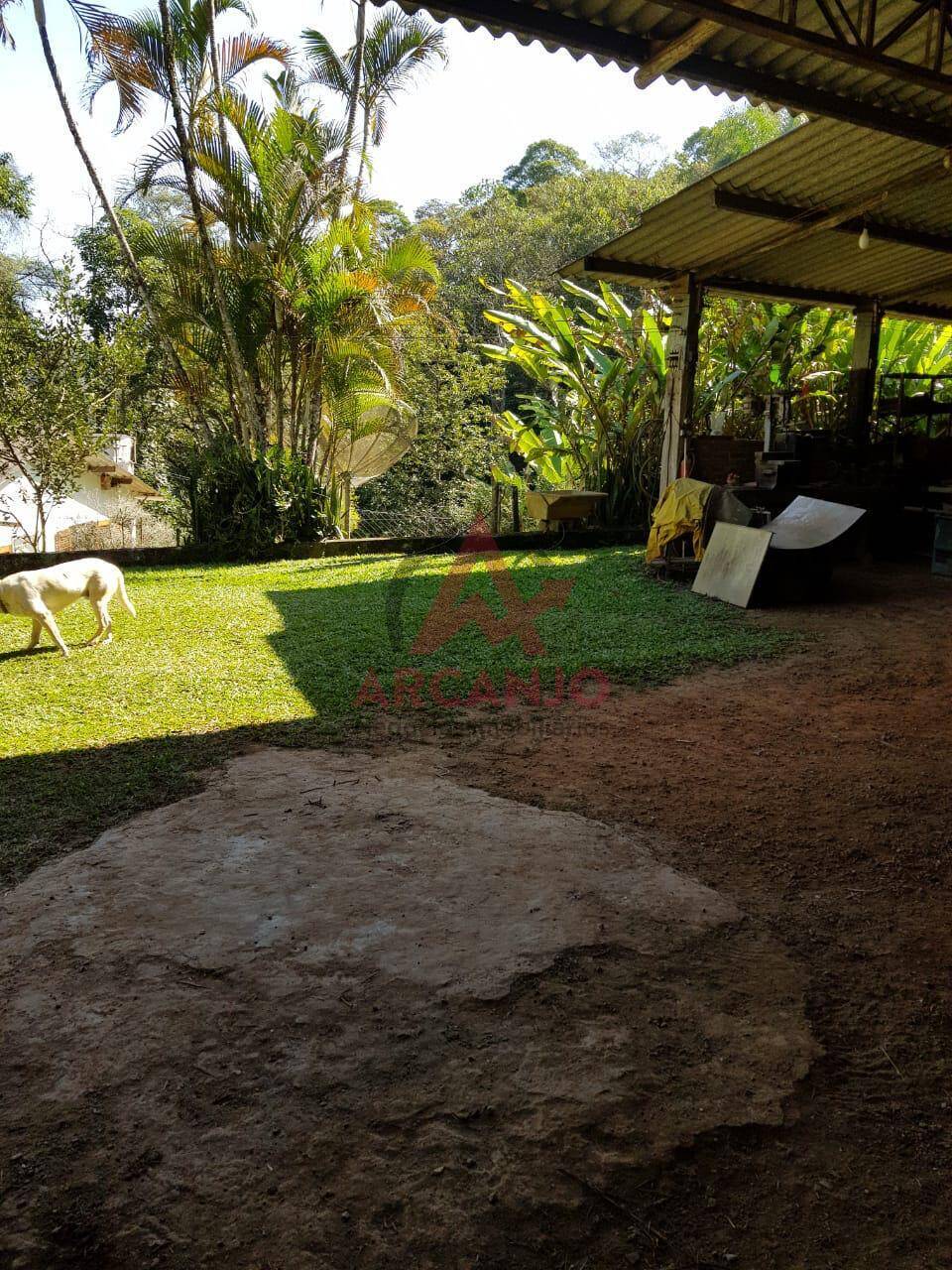 Fazenda à venda com 3 quartos, 7000m² - Foto 13