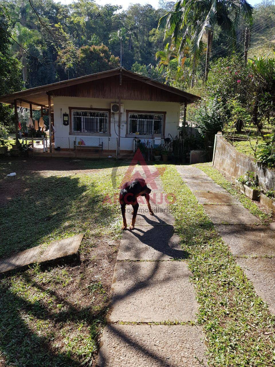 Fazenda à venda com 3 quartos, 7000m² - Foto 10