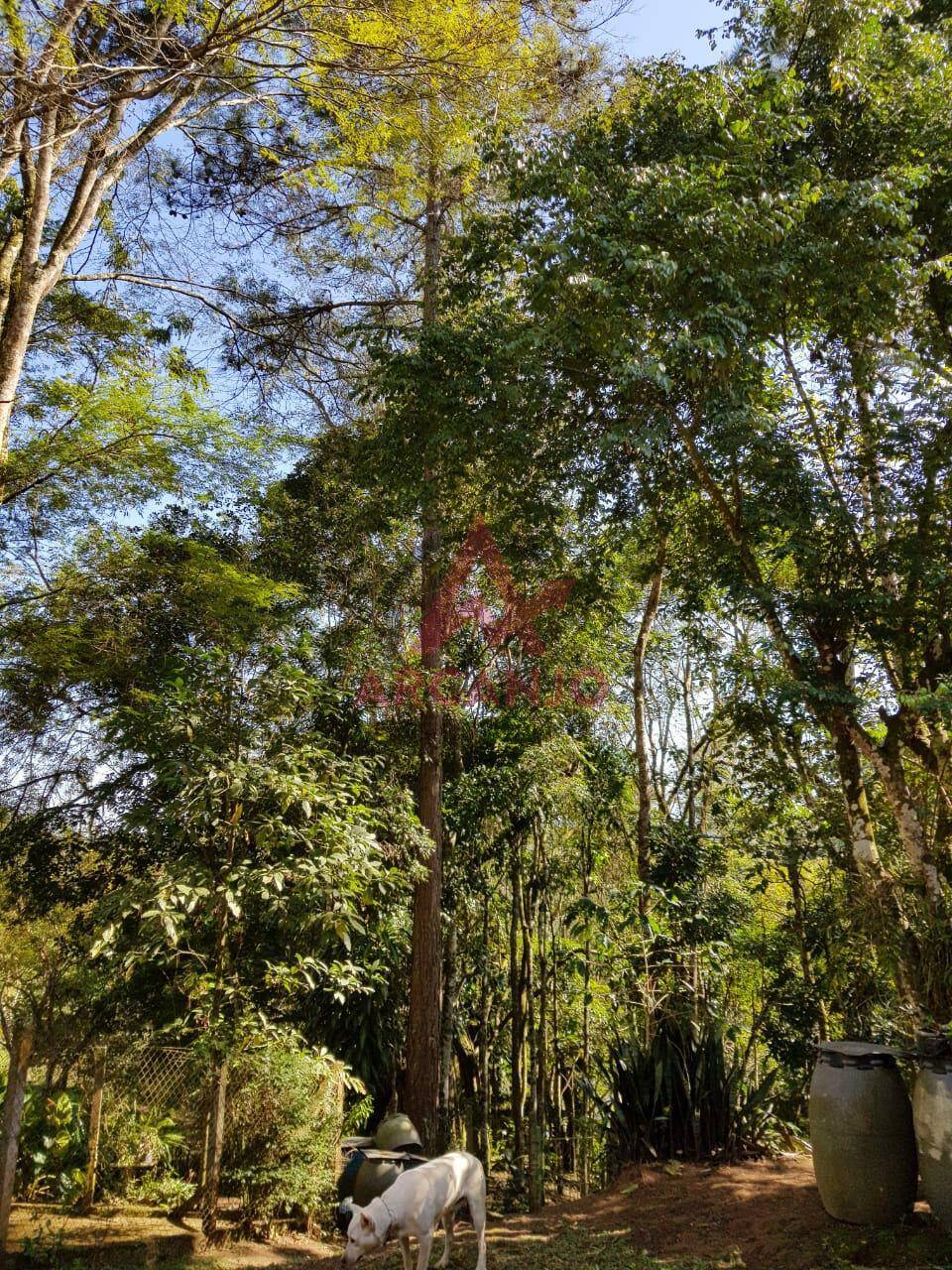 Fazenda à venda com 3 quartos, 7000m² - Foto 17