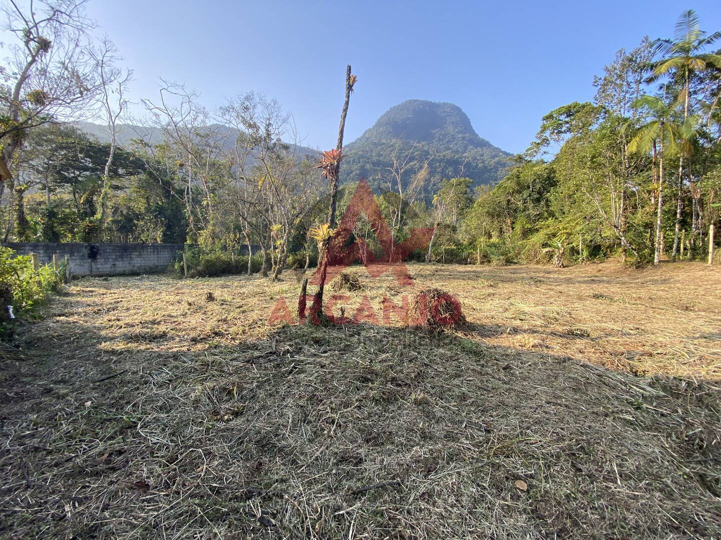 Terreno à venda, 717m² - Foto 2