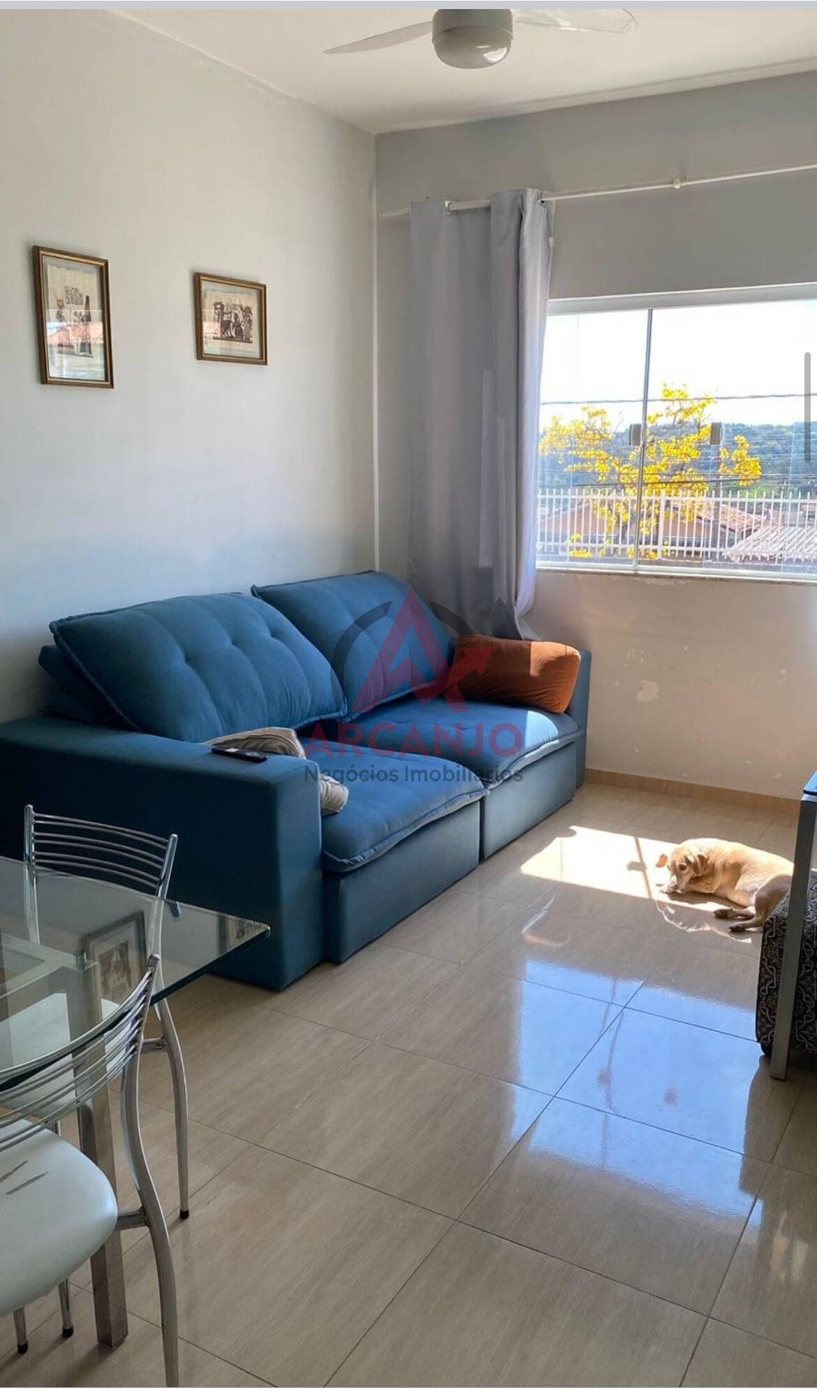 Apartamento à venda com 3 quartos, 12000m² - Foto 6