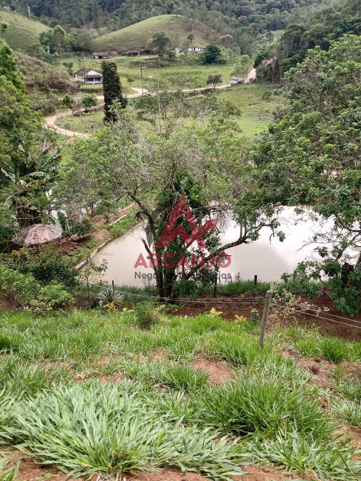 Fazenda à venda com 3 quartos, 180m² - Foto 8