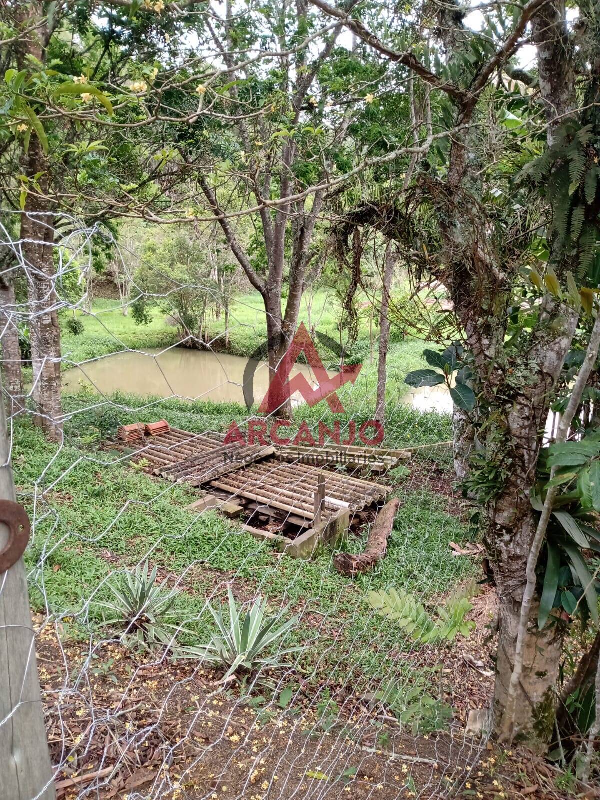 Fazenda à venda com 3 quartos, 180m² - Foto 18