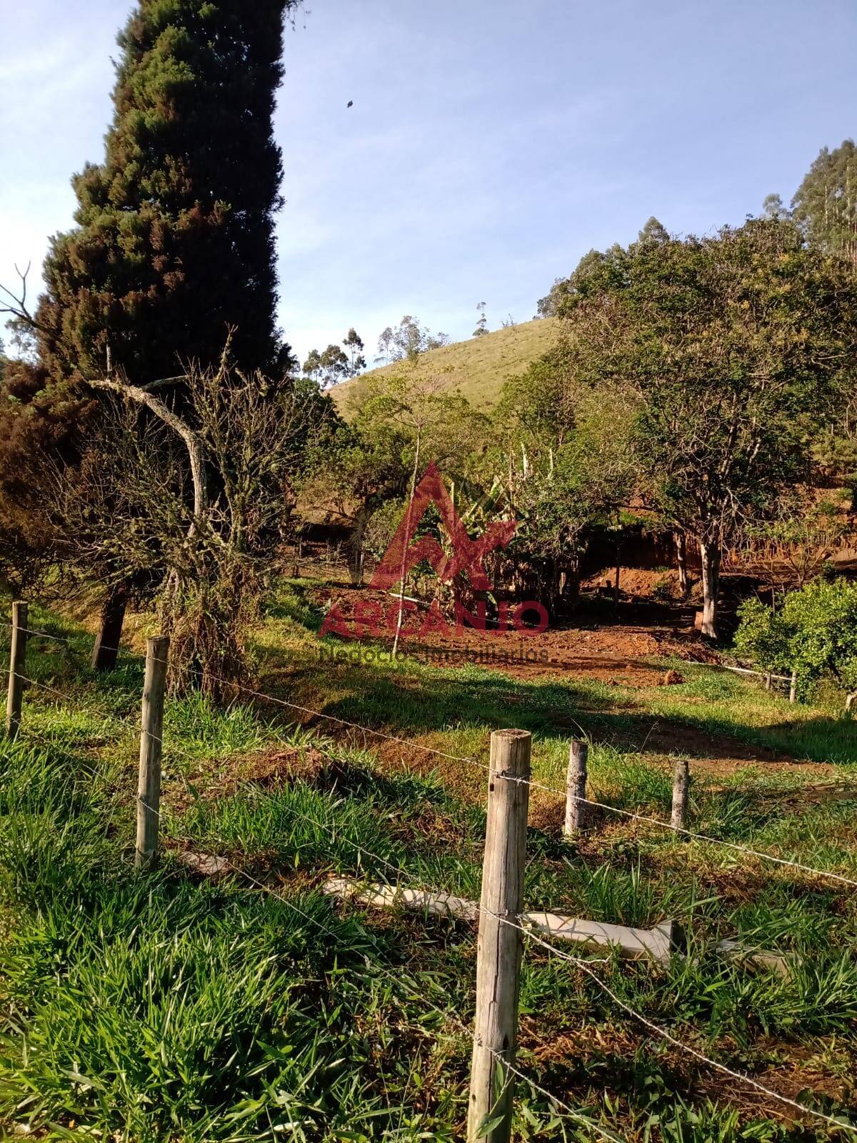 Fazenda à venda com 3 quartos, 180m² - Foto 21