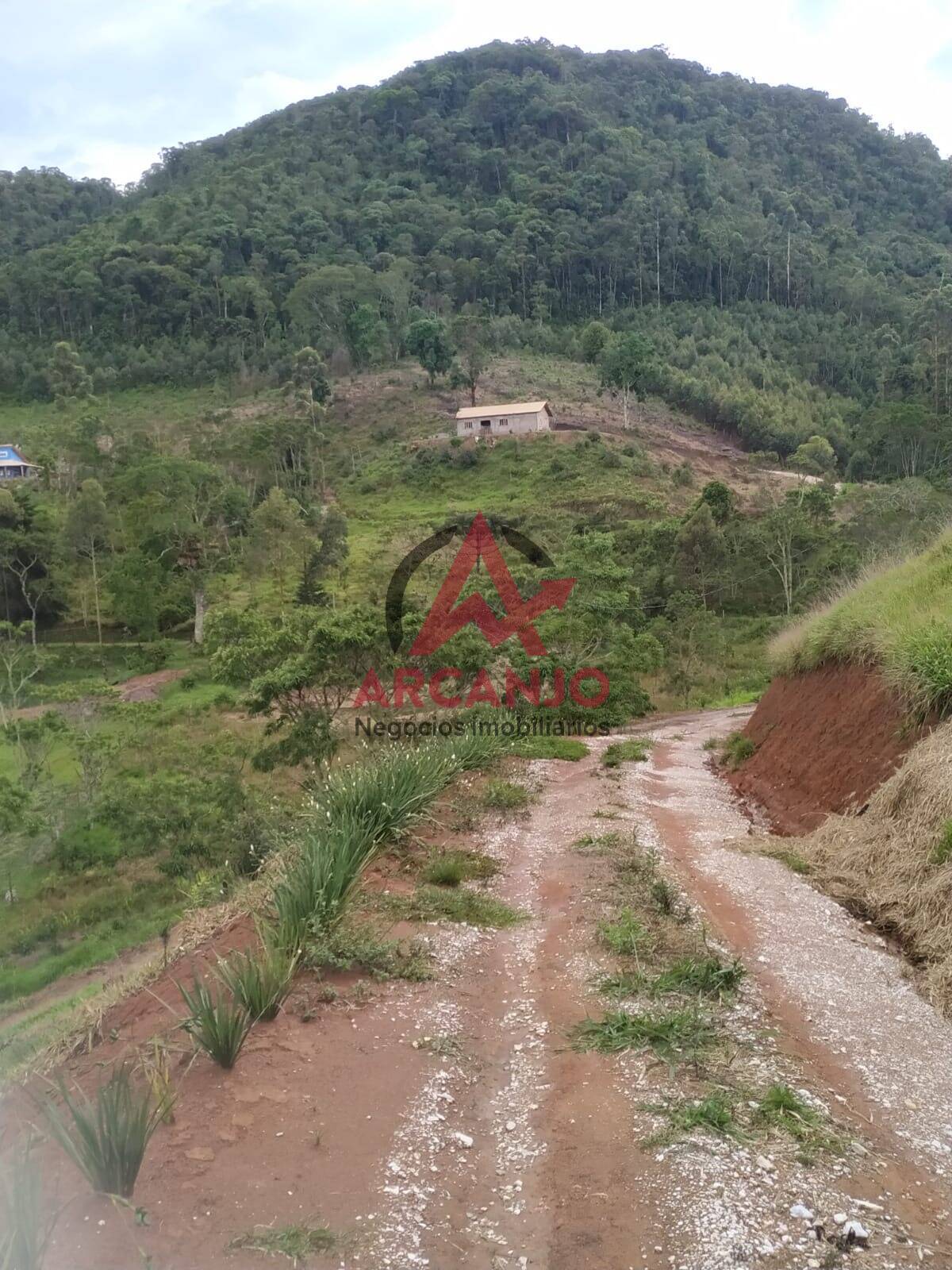 Fazenda à venda com 1 quarto, 40m² - Foto 5