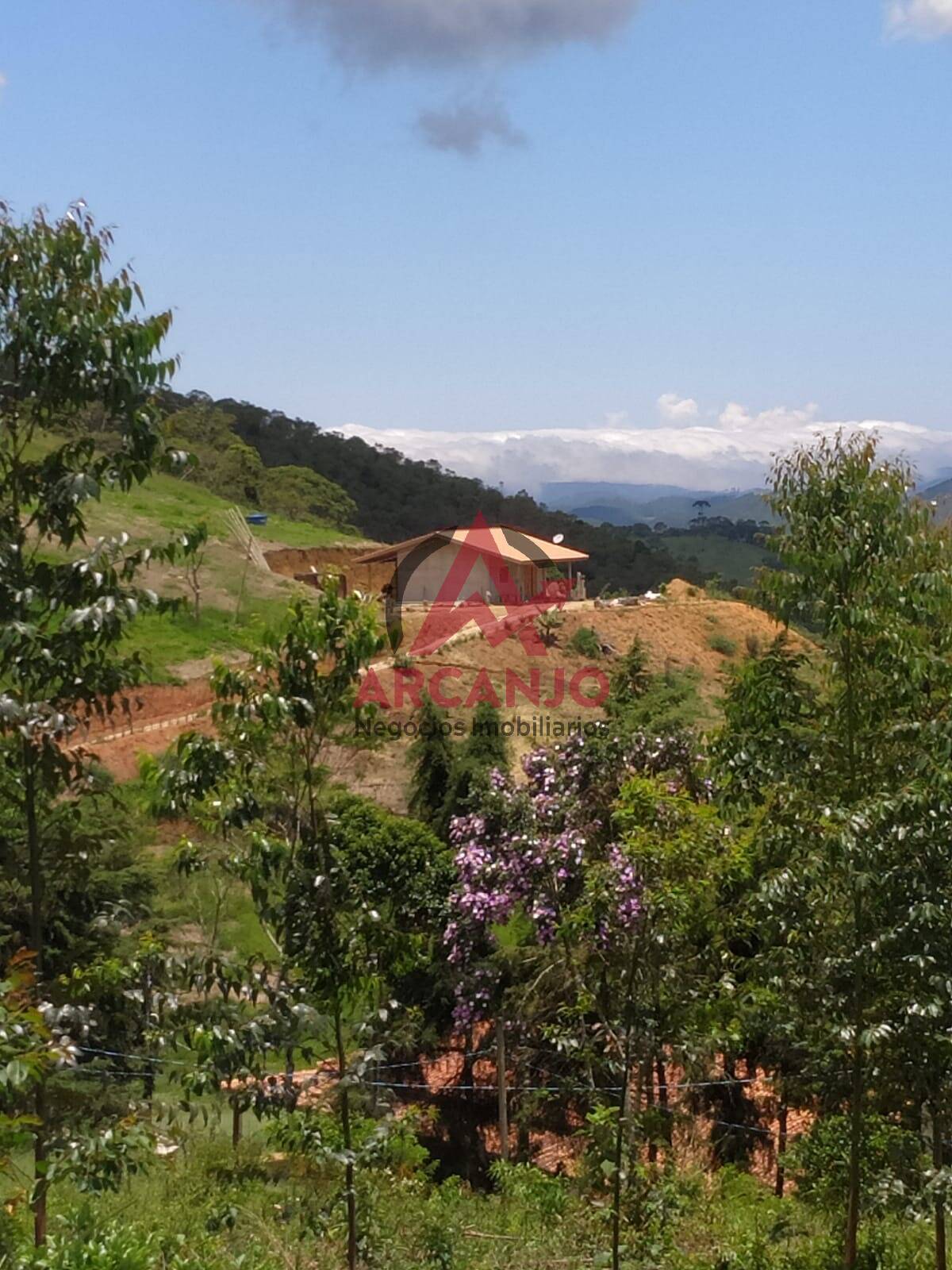 Fazenda à venda com 1 quarto, 40m² - Foto 4