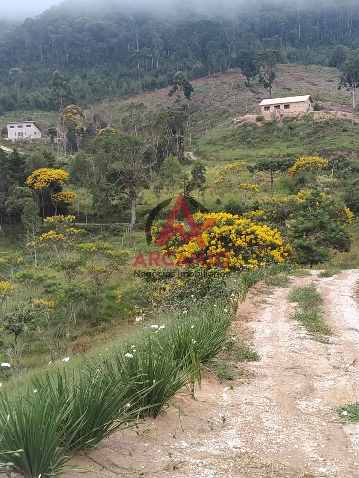 Fazenda à venda com 1 quarto, 40m² - Foto 6