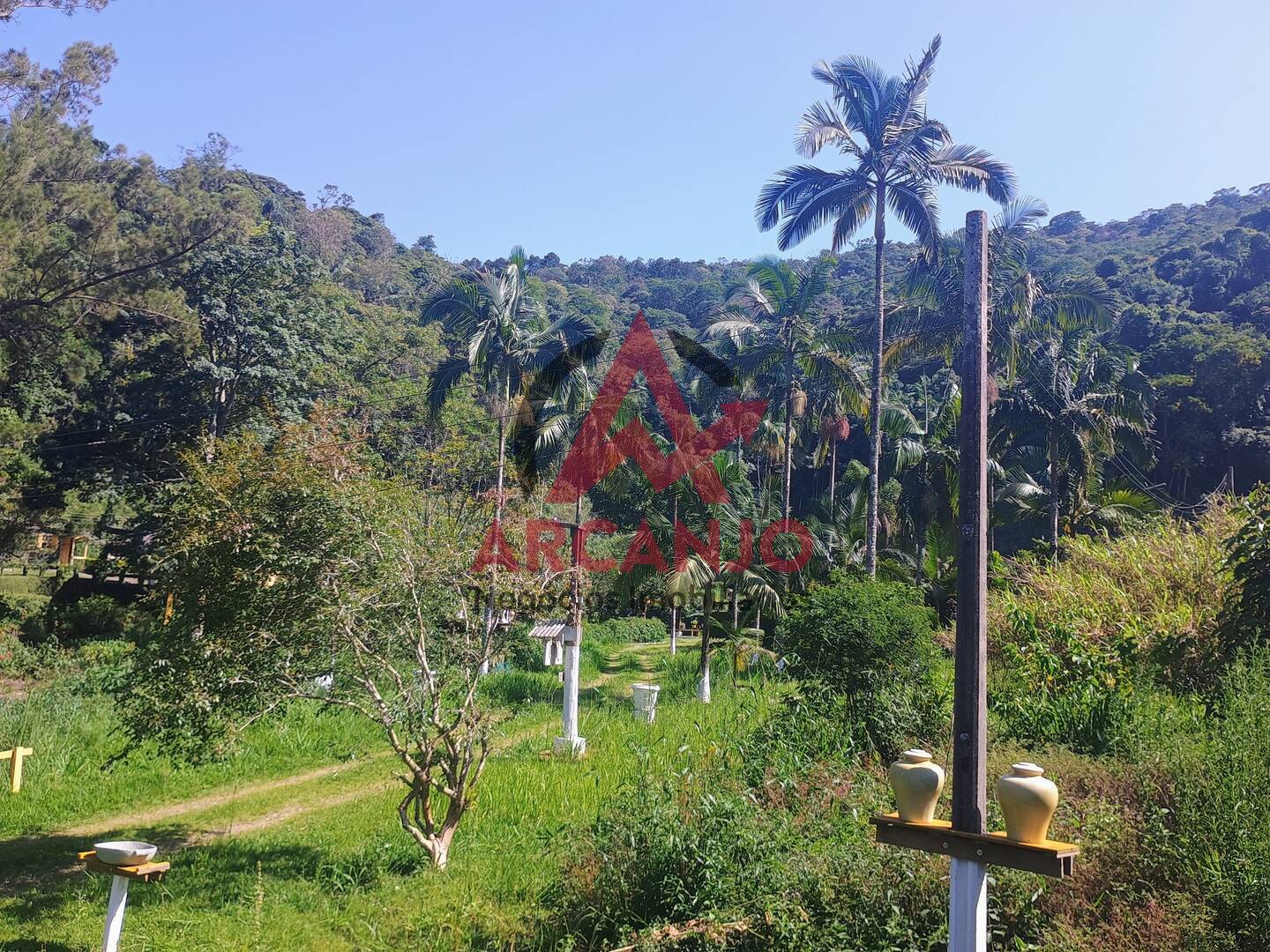 Fazenda à venda com 3 quartos, 120m² - Foto 7